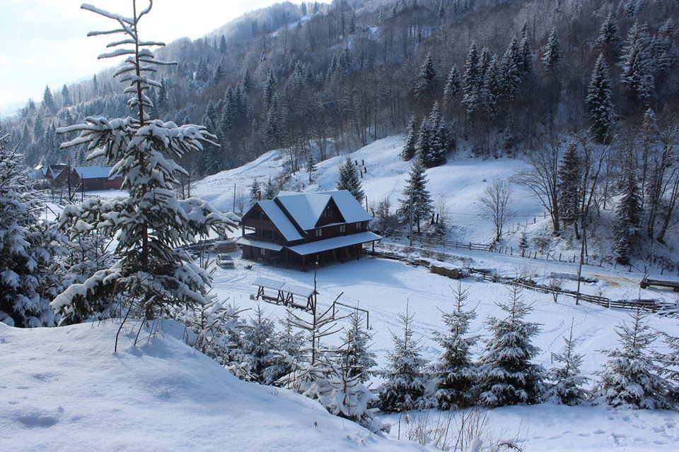 Cabana Genovita Rucar Hotel Esterno foto